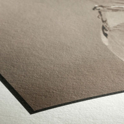 banner-1 banner-1