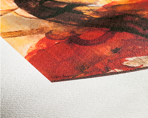 PHOTO-MATT PHOTO-MATT